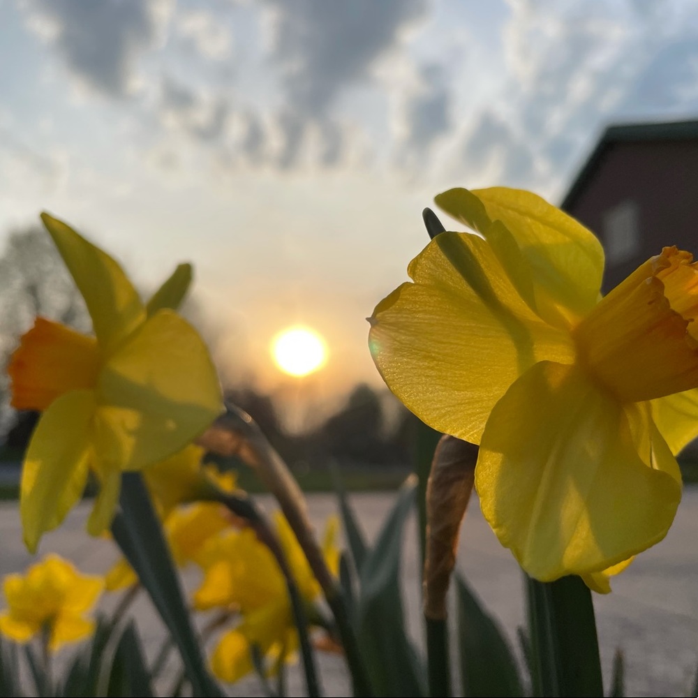 Meet your Posher, Brooke